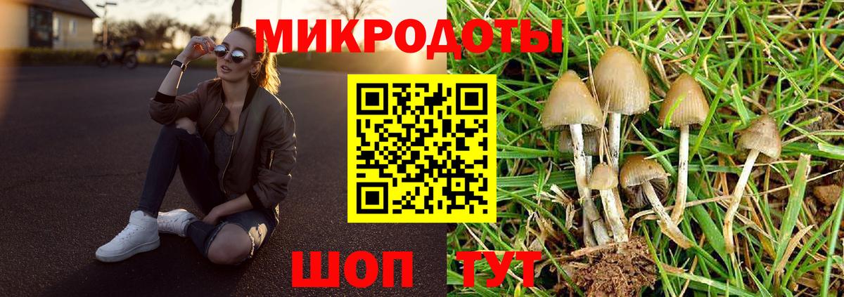 Псилоцибиновые грибы прущие грибы Кострома